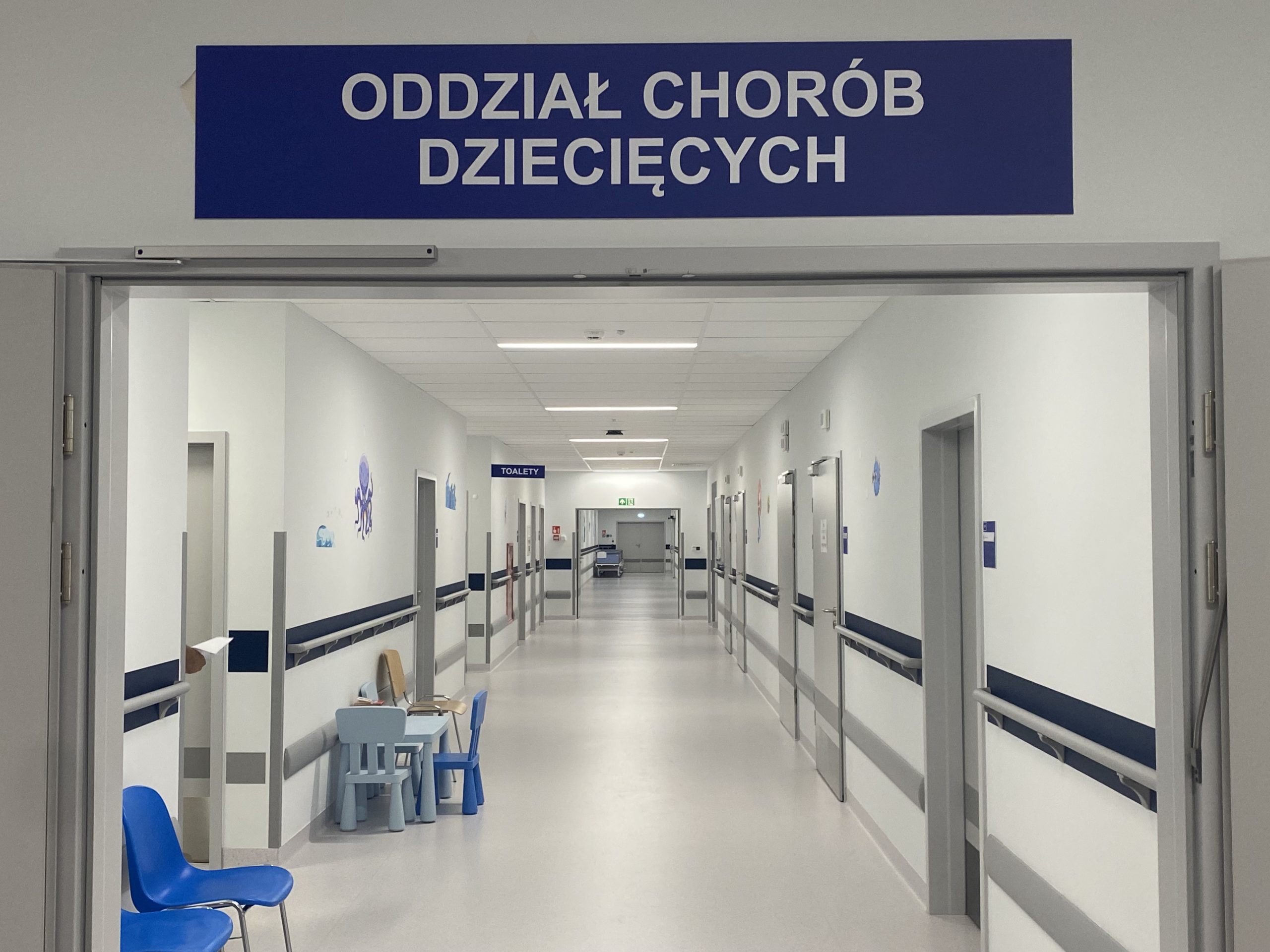 Wejście do oddziału chorób dziecięcych Wojskowego Instytutu medycznego w Legionowie. Nad drzwiami wejściowymi tablica z nazwą odziału.