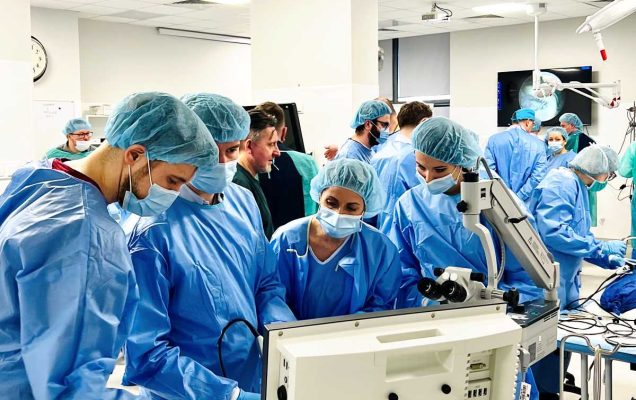 Lekarze na sali operacyjnej podczas ćwiczeń robotycznych z Robota otologicznego RobOtol.