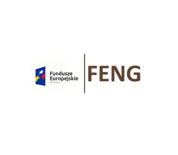 Logotyp Funduszy Europejskich i napis FENG
