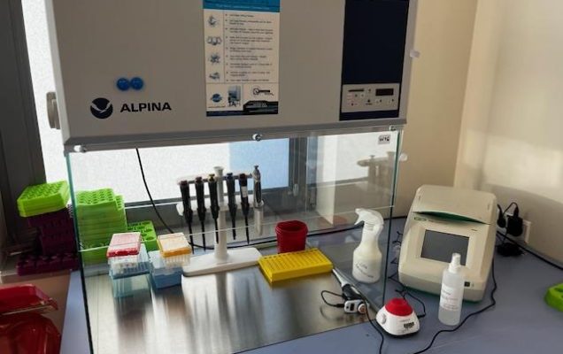 Sprzęt laboratoryjny: Komora laminarna Alpina typ K700 w pomieszczeniu LOMTI.