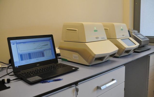 Sprzęt laboratoryjny: TERMOCYKLERY DO REAKCJI REAL TIME PCR w pomieszczeniu LOMTI.