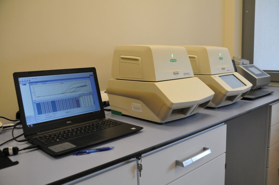 Sprzęt laboratoryjny: TERMOCYKLERY DO REAKCJI REAL TIME PCR w pomieszczeniu LOMTI.